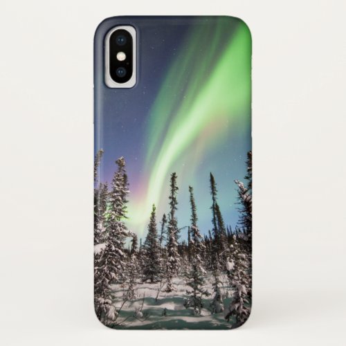 Northern Lights  Denali National Park iPhone X Case
