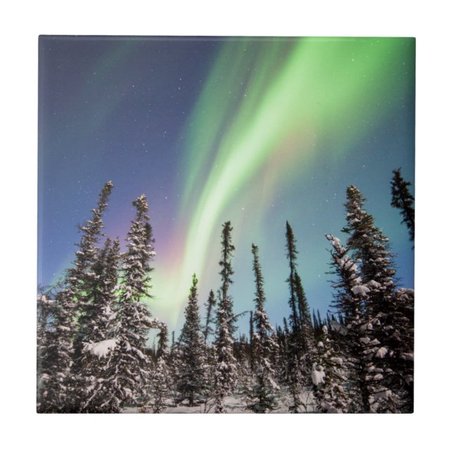 Northern Lights | Denali National Park Ceramic Tile (Front)