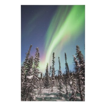 Northern Lights | Denali National Park Faux Canvas Print by intothewild at Zazzle