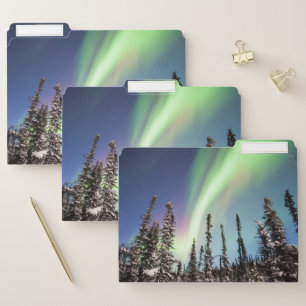 Northern Lights   Denali National Park File Folder