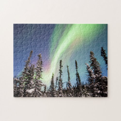 Northern Lights  Denali National Park Jigsaw Puzzle