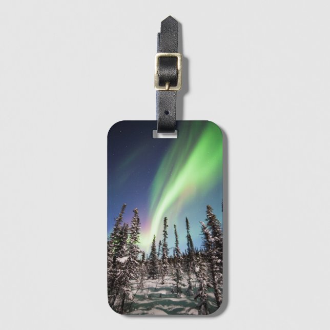 Northern Lights | Denali National Park Luggage Tag (Front Vertical)