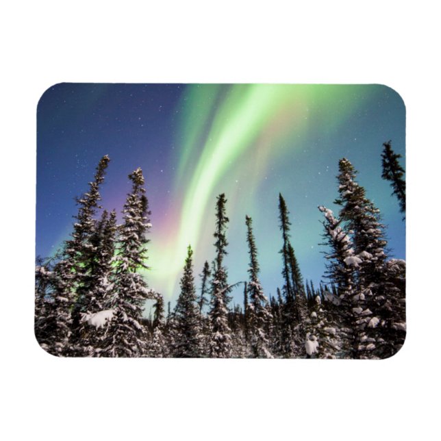 Northern Lights | Denali National Park Magnet (Horizontal)