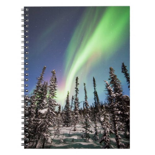 Northern Lights  Denali National Park Notebook