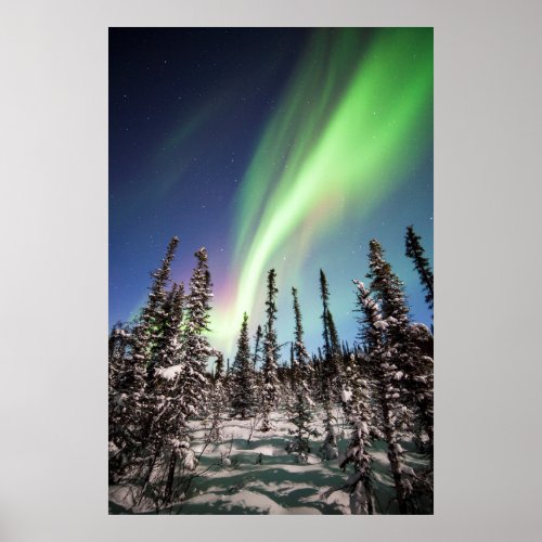 Northern Lights  Denali National Park Poster