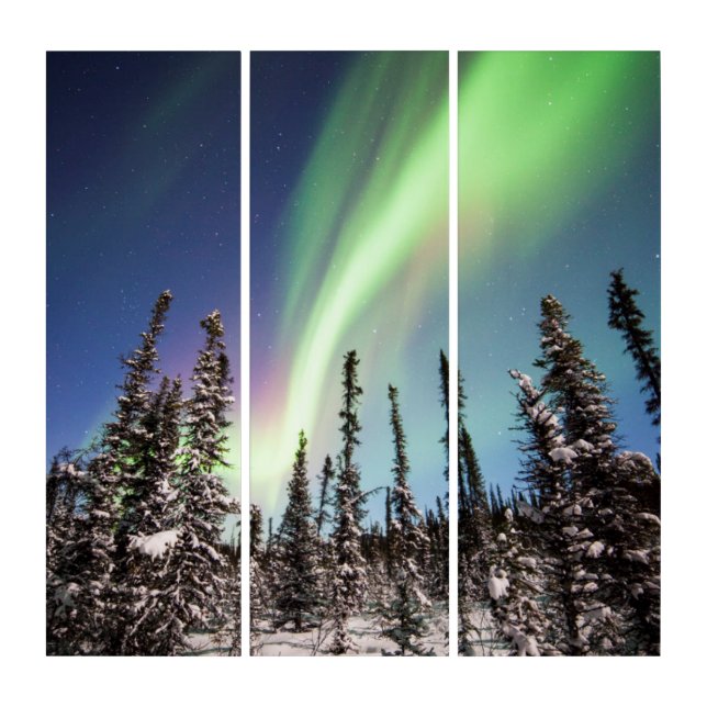 Northern Lights | Denali National Park Triptych (Front)