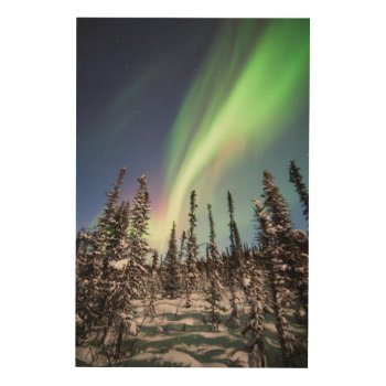 Northern Lights | Denali National Park Wood Wall Art by intothewild at Zazzle