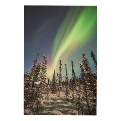 Northern Lights  Denali National Park Wood Wall Art