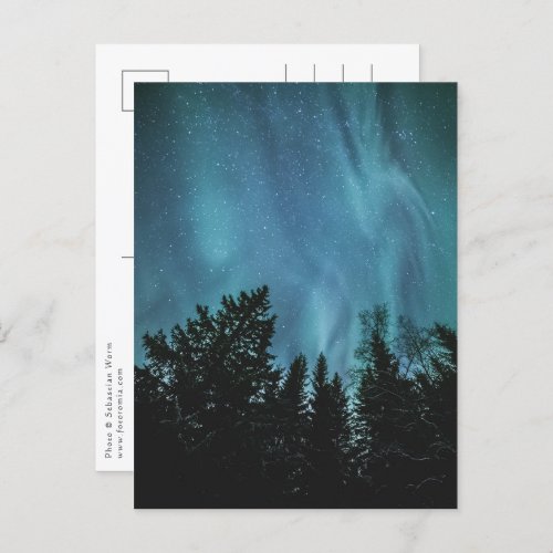 Northern Lights Forest Postcard