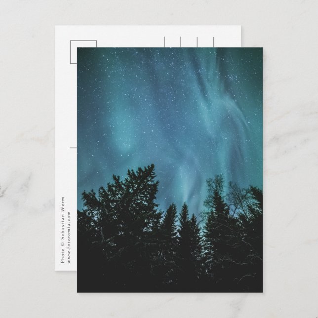 Northern Lights Forest Postcard (Front/Back)