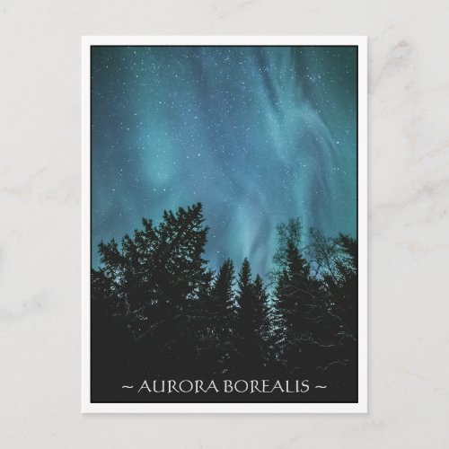 Northern Lights Forest Postcard