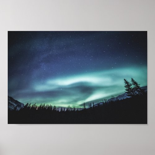 Northern Lights Forest Poster