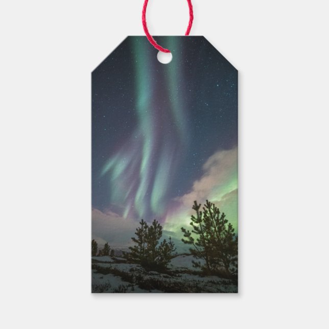 Northern Lights Gift Tags (Front)