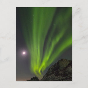 Northern LightS Haukland Beach Island Norway Postcard