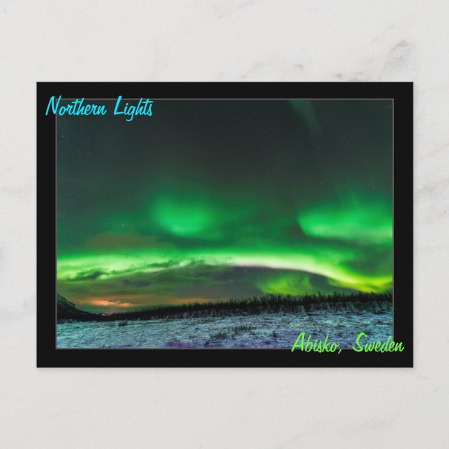 Northern Lights in Abisko Sweden Postcard (Front)