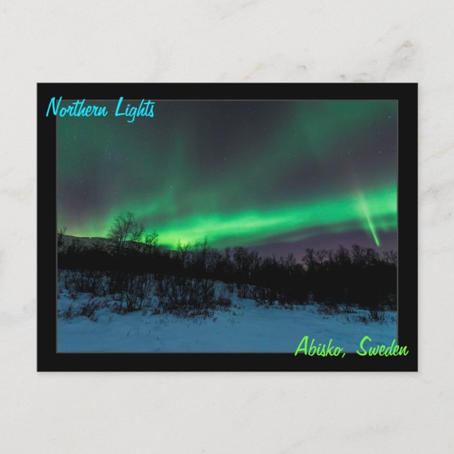 Northern Lights in Sweden Postcard (Front)