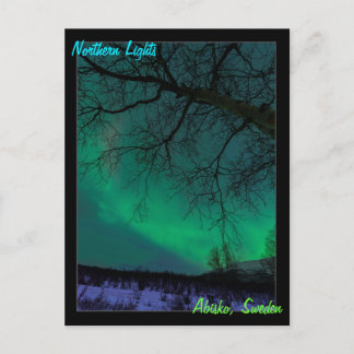 Northern Lights in Sweden Postcard