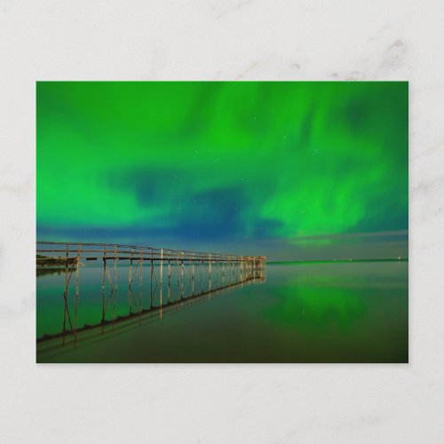 Northern Lights  Lake Winnipeg Canada Manitoba Postcard