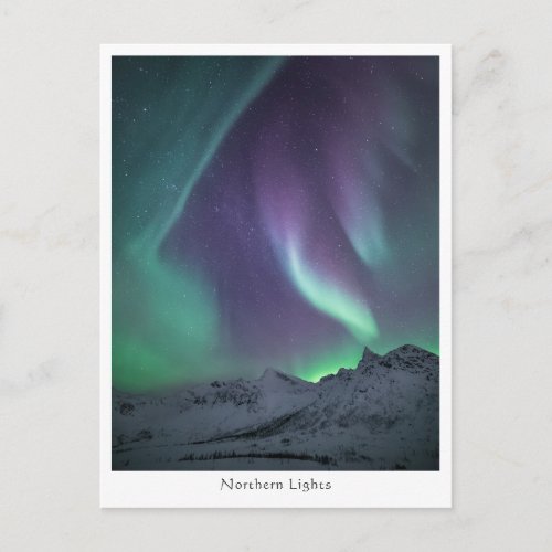 Northern Lights Landscape Photo Postcard