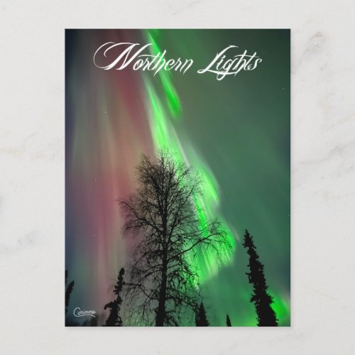 Northern Lights ll _ Postcard