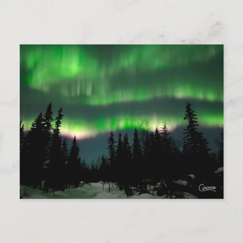 Northern Lights lll _ Postcard