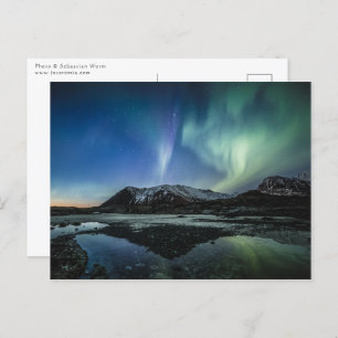 Northern Lights Lofoten Postcard