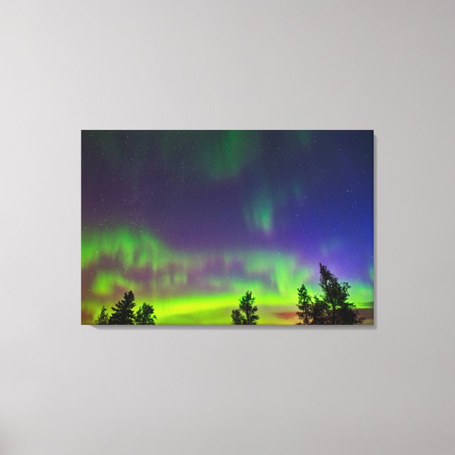 Northern Lights | Manitoba Canada Canvas Print (Front)