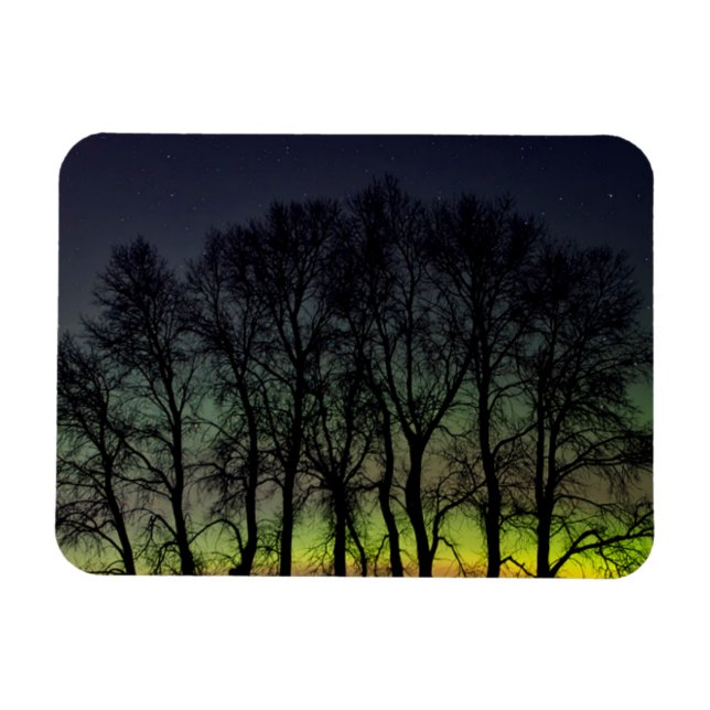 Northern Lights | Manitoba Canada Grande Pointe Magnet (Horizontal)