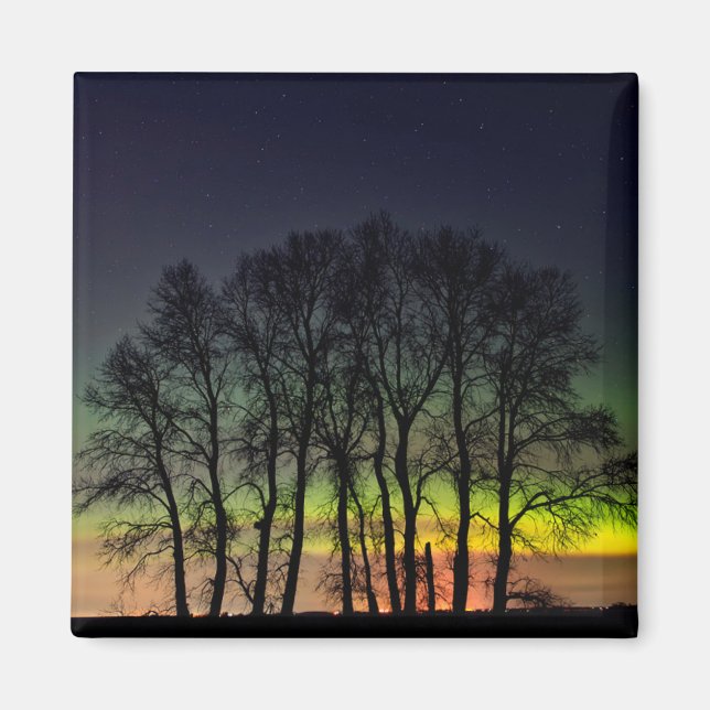 Northern Lights | Manitoba Canada Grande Pointe Magnet (Front)