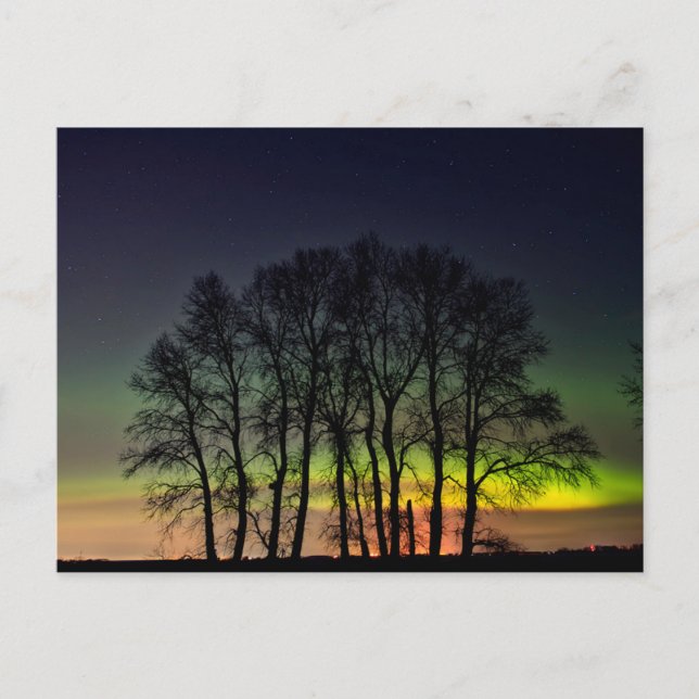 Northern Lights | Manitoba Canada Grande Pointe Postcard (Front)