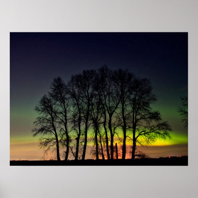 Northern Lights | Manitoba Canada Grande Pointe Poster (Front)