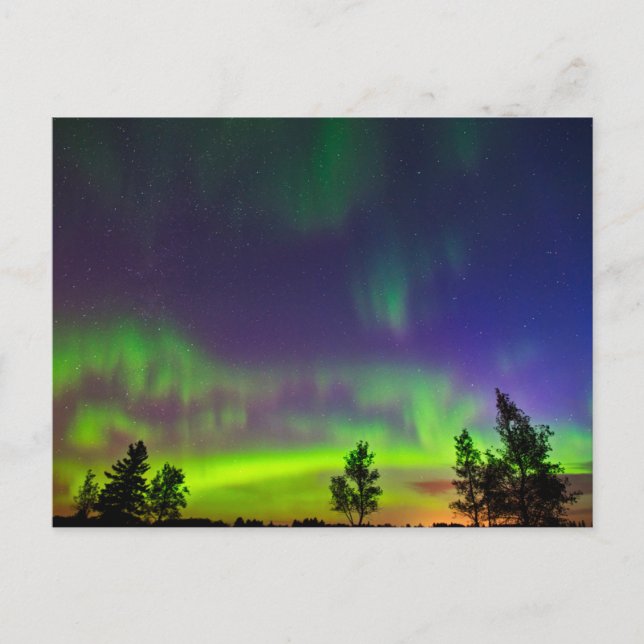 Northern Lights | Manitoba Canada Postcard (Front)