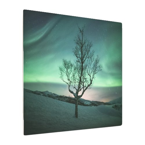 Northern Lights Metal Print