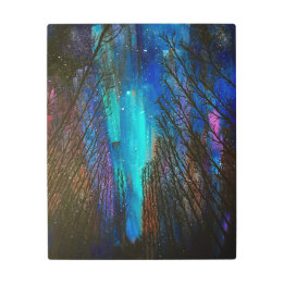 Northern Lights Metal Print