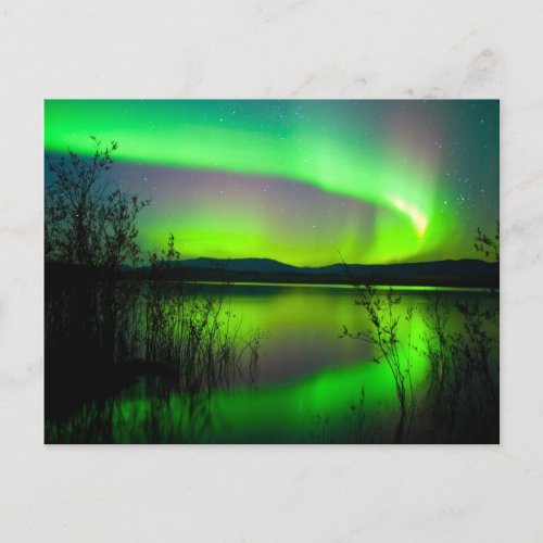 Northern lights mirrored on lake postcard