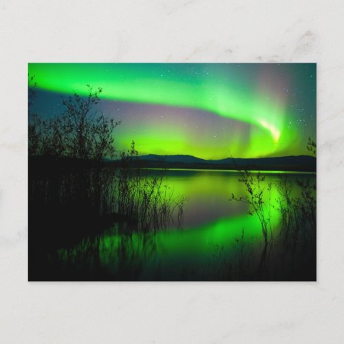 Northern lights mirrored on lake postcard