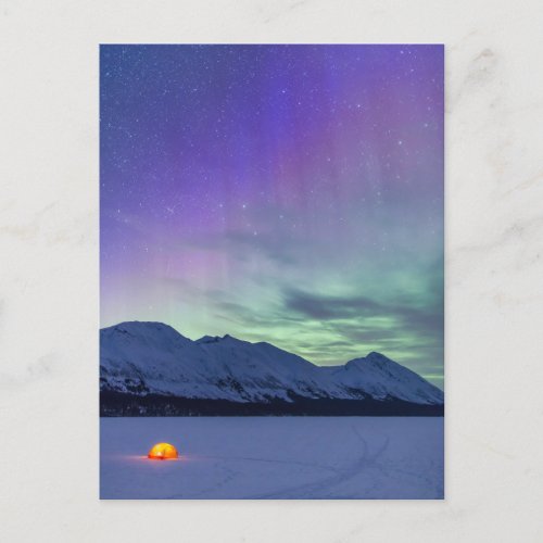 Northern Lights Moose Pass  Kenai Peninsula Postcard