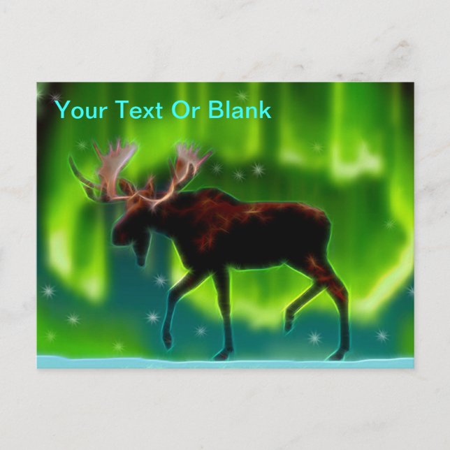 Northern Lights Moose Postcard (Front)