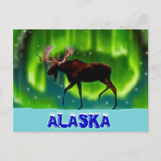 Northern Lights Moose Postcard