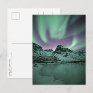 Northern Lights Nature Photo Postcard
