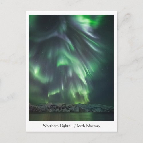 Northern Lights Night Sky Postcard