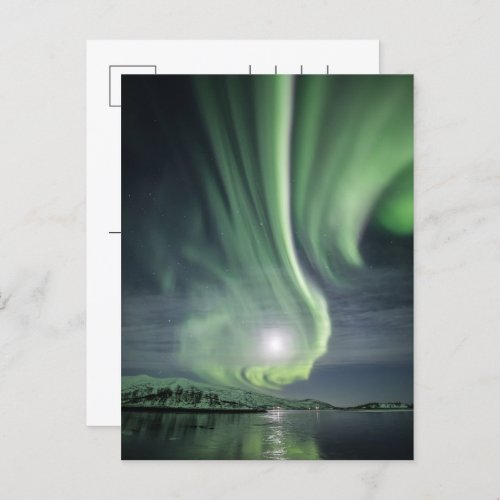 Northern Lights Norway Holiday Postcard