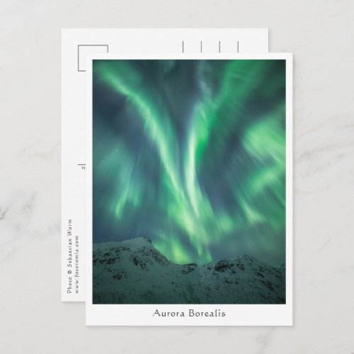 Northern Lights Norway Postcard
