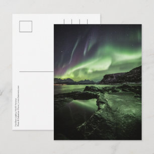 Northern Lights Norway Postcard