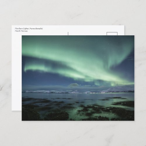 Northern Lights Norway Postcard