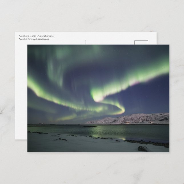 Northern Lights Norway Postcard (Front/Back)