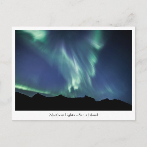 Northern Lights Norway Postcard