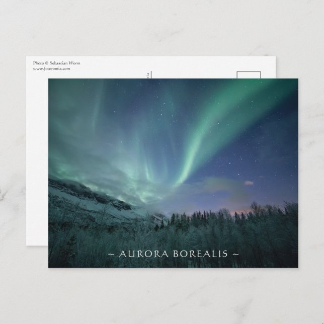 Northern Lights Norway Postcard (Front/Back)