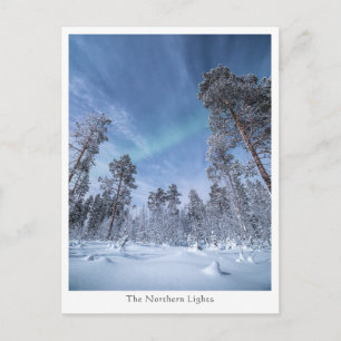 Northern Lights Norway Postcard