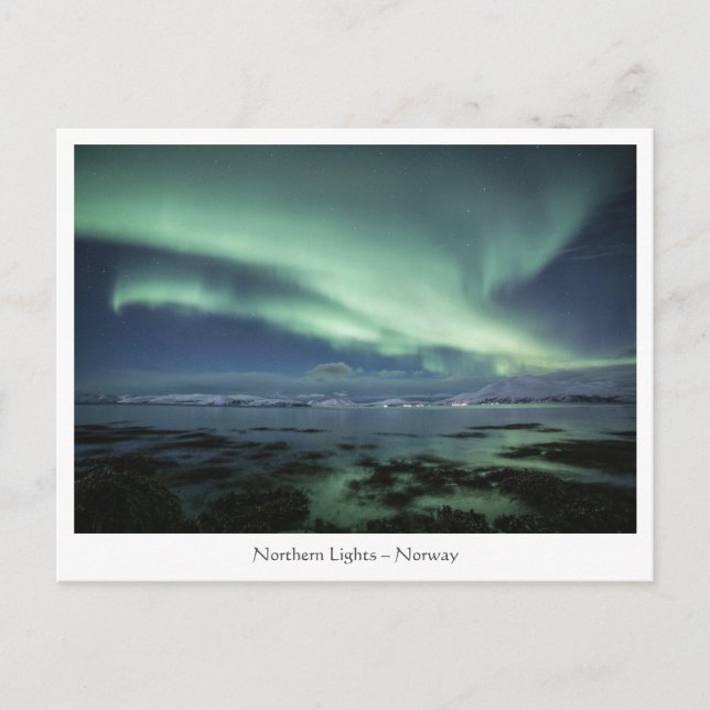 Northern Lights Norway Postcard (Front)